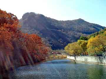 天天彩好彩天天免费，京东假机油